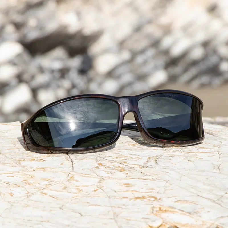 IMG_6778_w413g_edit_website_800x800